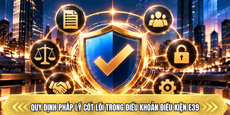 Quy định pháp lý cốt lõi trong điều khoản điều kiện E39